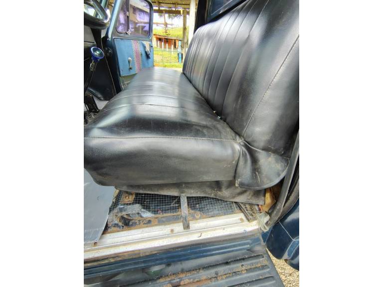 CHEVROLET - D-60 - 1980/1980 - Azul - R$ 58.000,00