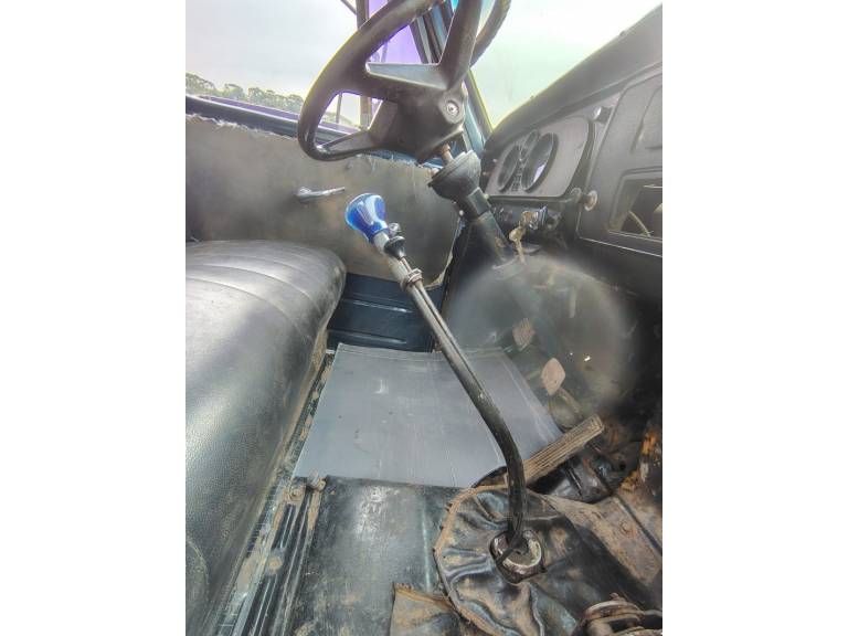 CHEVROLET - D-60 - 1980/1980 - Azul - R$ 58.000,00