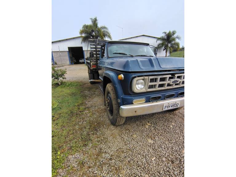 CHEVROLET - D-60 - 1980/1980 - Azul - R$ 58.000,00