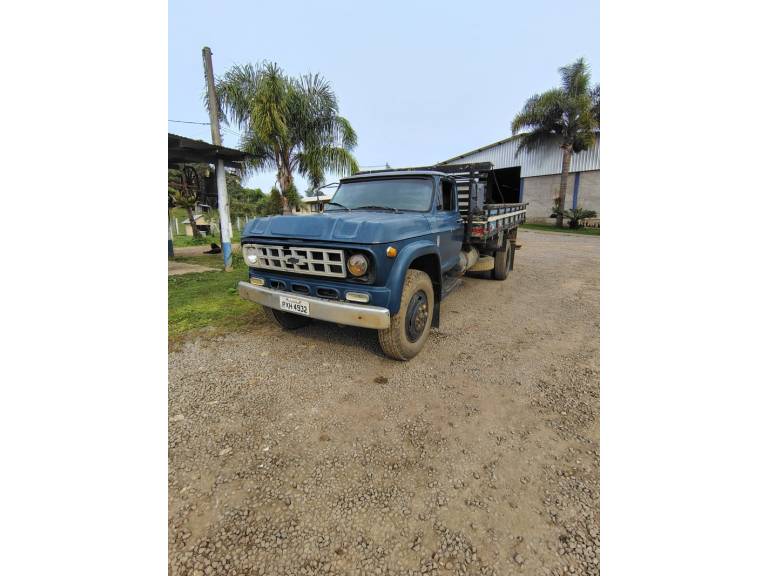 CHEVROLET - D-60 - 1980/1980 - Azul - R$ 58.000,00